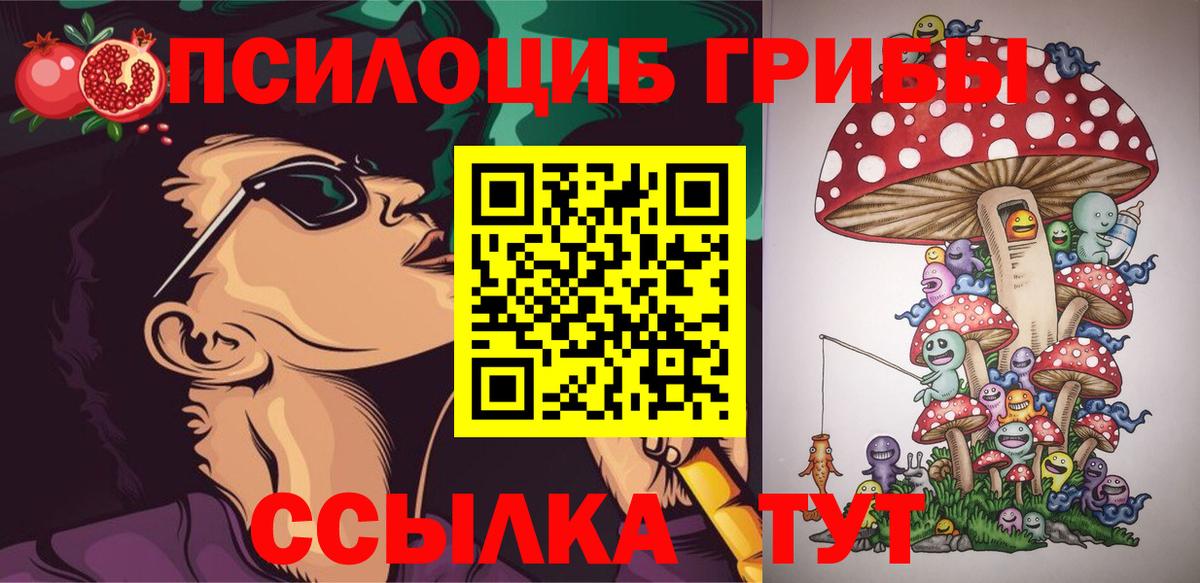 Псилоцибиновые грибы Cubensis Краснокаменск