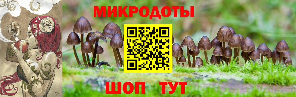 Галлюциногенные грибы GOLDEN TEACHER  Вход с VPN  дарнет шоп  Краснокаменск 